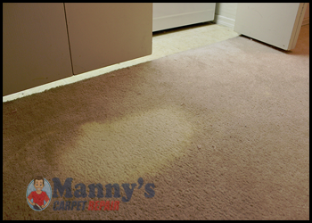 How to Repair Bleach Stains in Carpet 